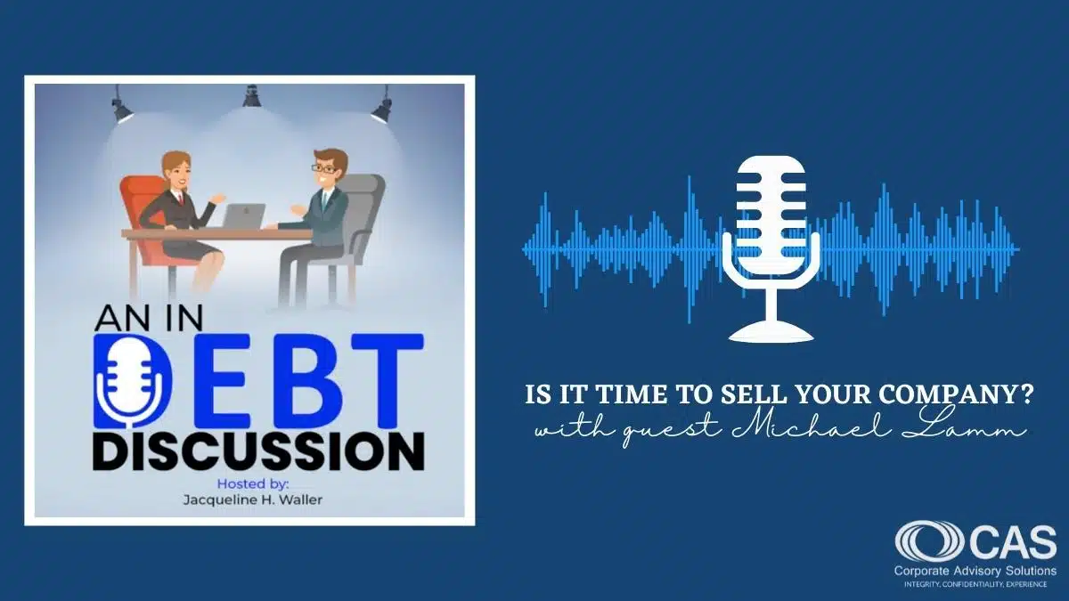 an in debt discussion is it time to sell your company with guest michael lamm